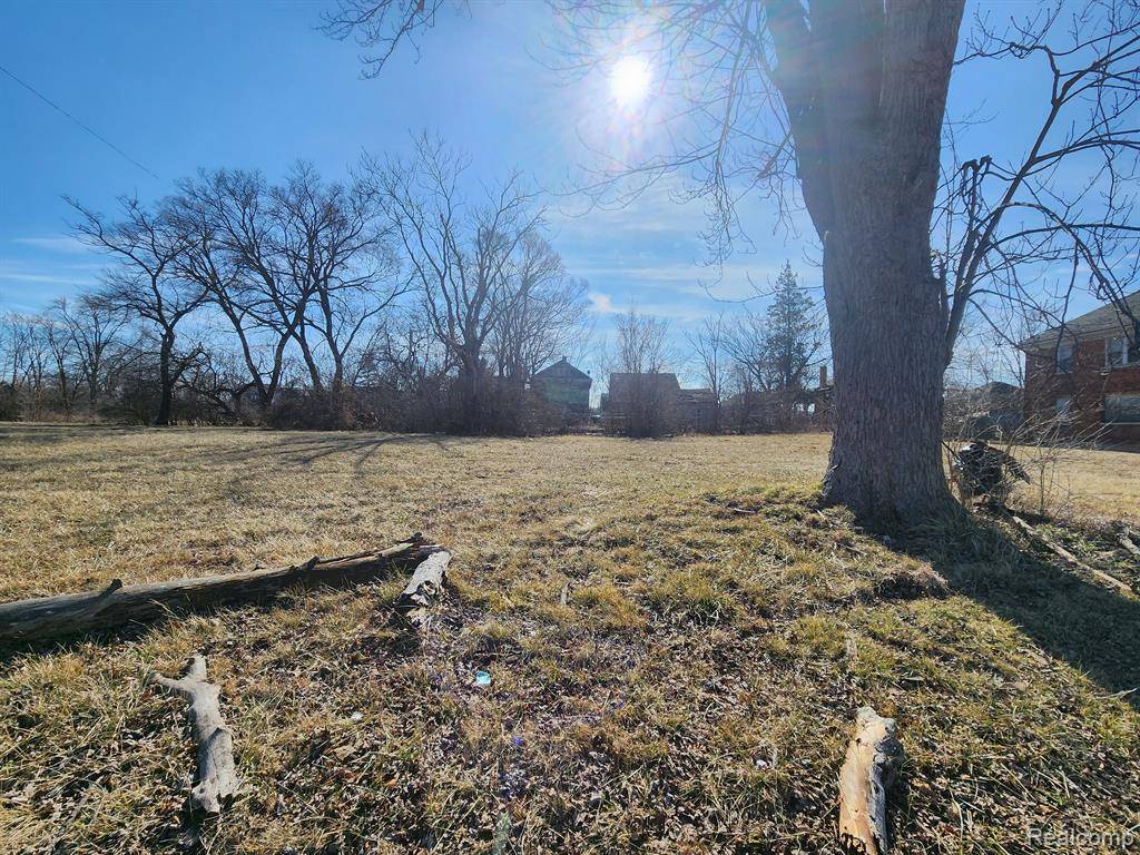 Highland Park, MI 48203,615 W BRENTWOOD Street