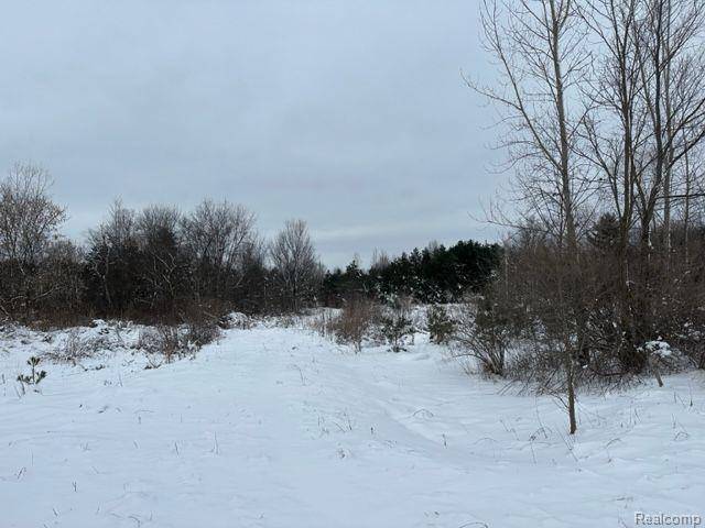 Lapeer Twp, MI 48446,Lot B Peters Path