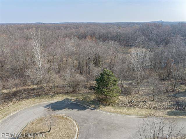 Holly Twp, MI 48442,Lot A N VANESSA Drive