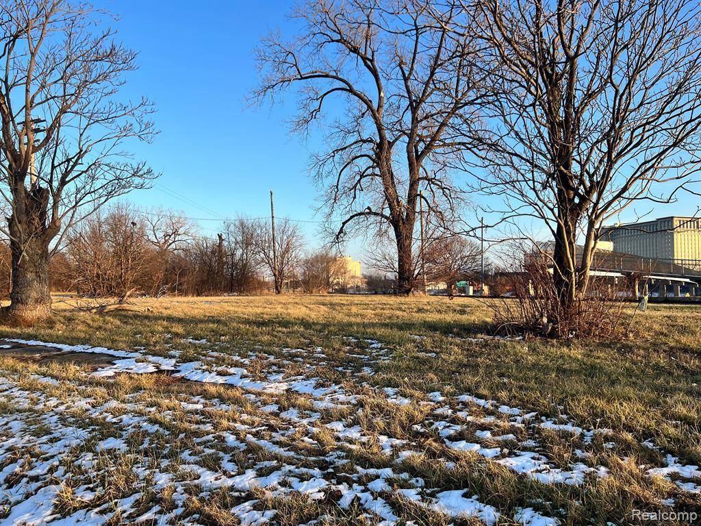 Detroit, MI 48216,2435 PERRY Street