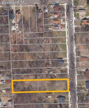 Detroit, MI 48219,17245 TRINITY Street