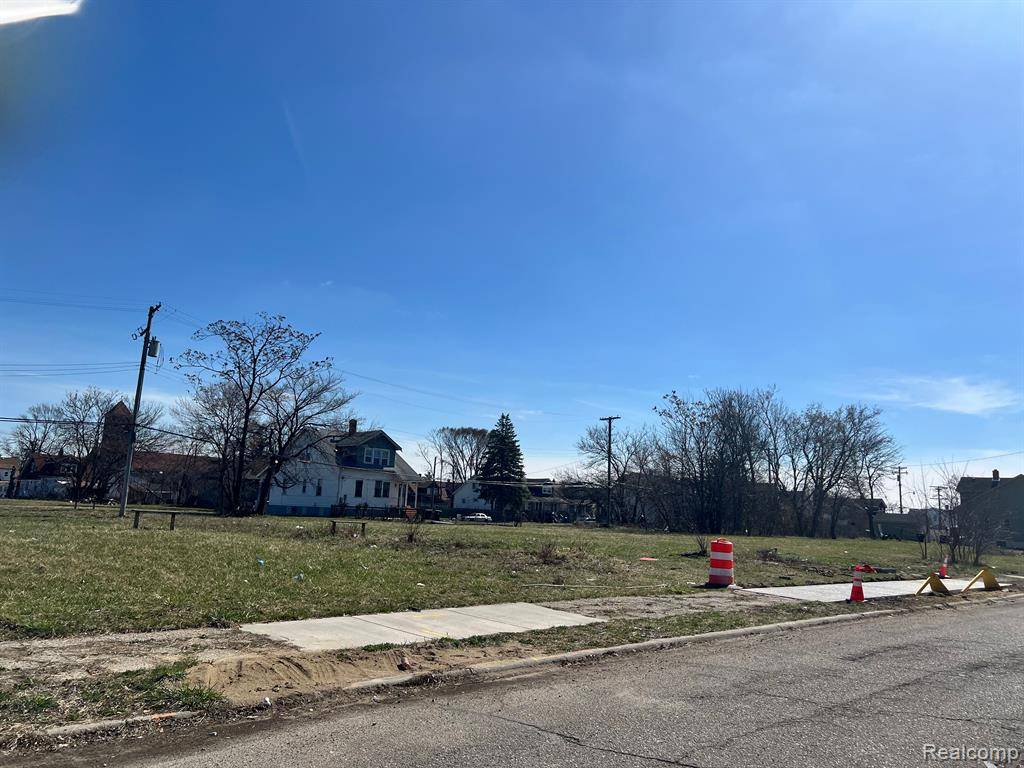 Hamtramck, MI 48212,13242 BUFFALO Street