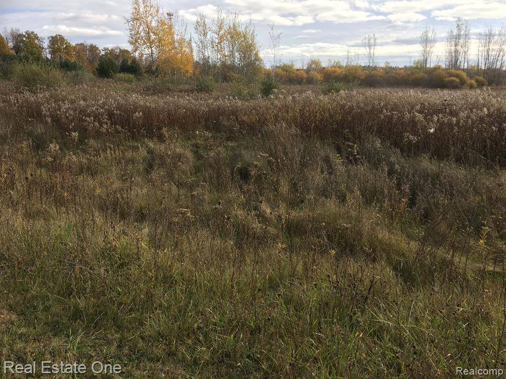 Dryden Twp, MI 48428,02 SINGLE TREE Circle