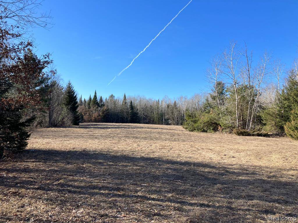 Horton Twp, MI 48661,Vacant Land  M-76