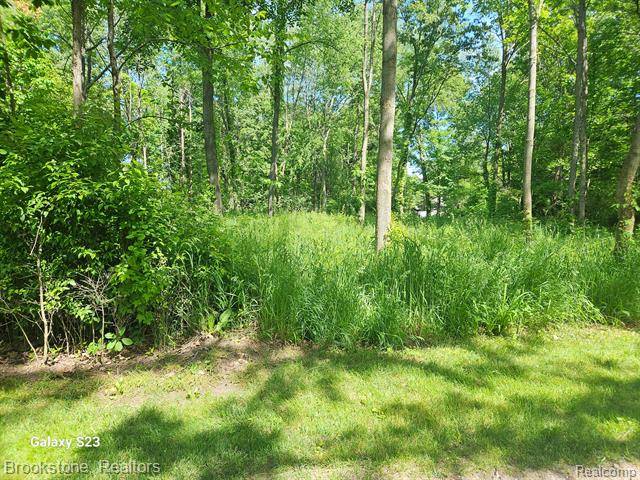 Fenton Twp, MI 48451,00 Hunts Fork Road