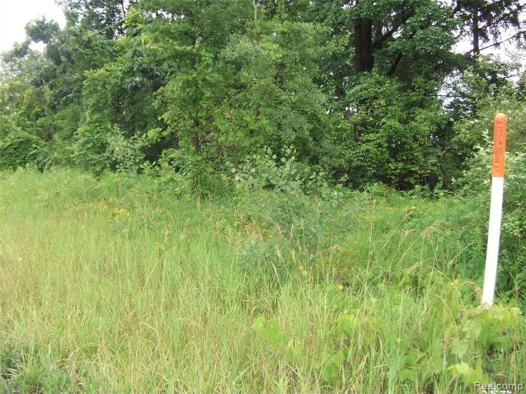Brandon Twp, MI 48462,0000 SEYMOUR LAKE DR