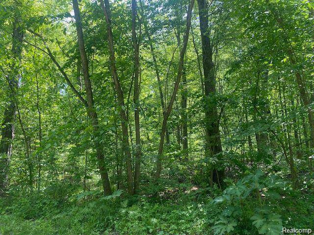 Genoa Twp, MI 48114,Parcel 2 & 4 Deadwood  Lane