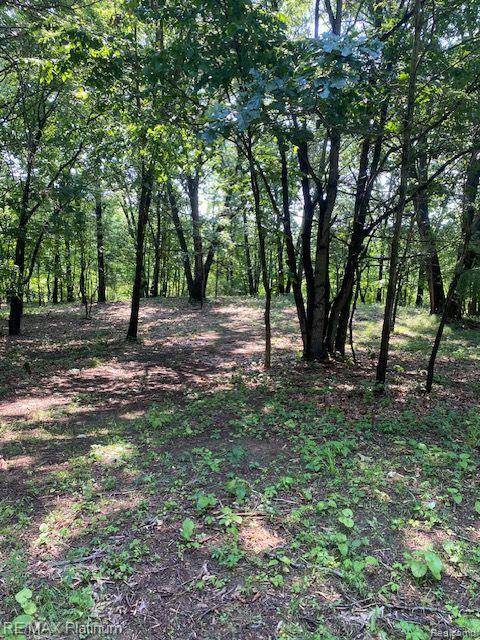 Howell Twp, MI 48843,1 Sleaford-Parcel 1-8.68 Acres