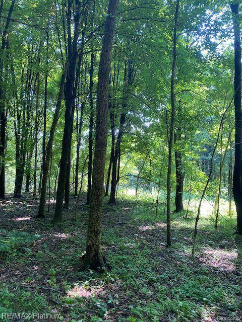 Howell Twp, MI 48843,2 Sleaford-Parcel 2-3.2 Acres Road N