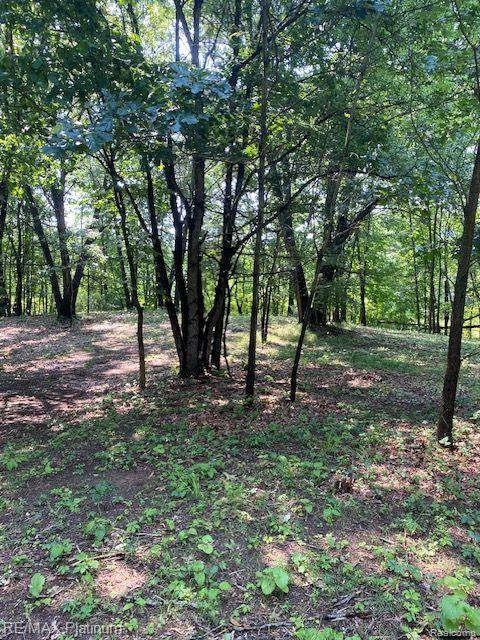 Howell Twp, MI 48843,2 Sleaford-Parcel 2-3.2 Acres Road N