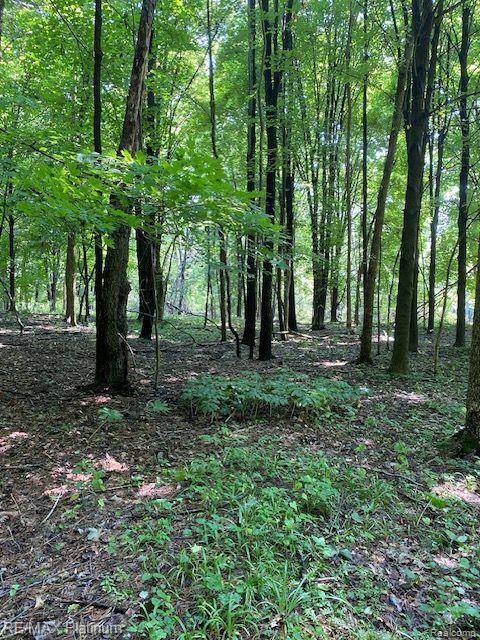 Howell Twp, MI 48843,3 Sleaford-Parcel 3-3.17 Acres Road