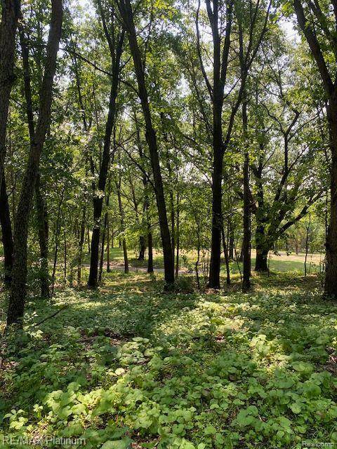 Howell Twp, MI 48843,5 Sleaford-Parcel 5 - 2.5 Acres Road