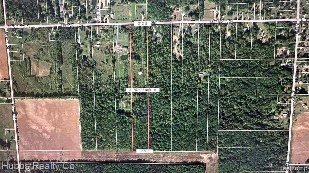 Arbela Twp, MI 48746,0000 Birch Run Rd.