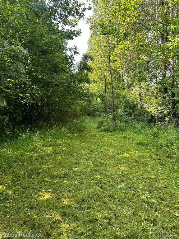 Arbela Twp, MI 48746,0000 Birch Run Rd.