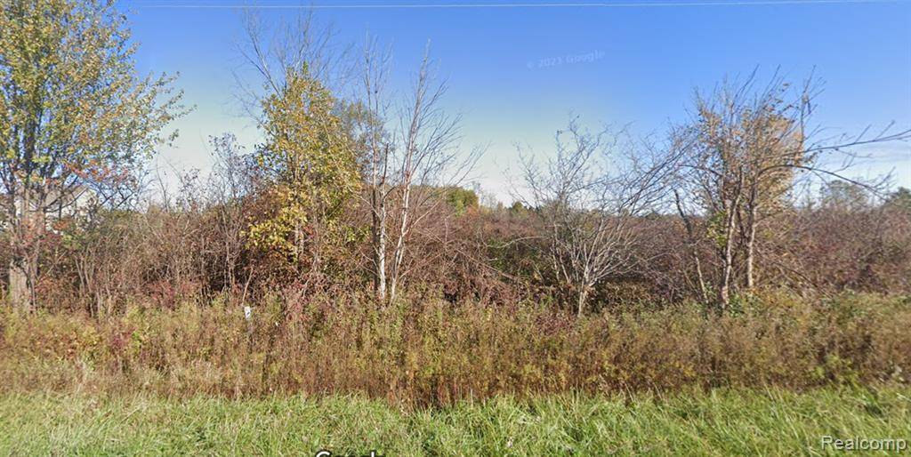 Riley Twp, MI 48041,0 Burgess Rd