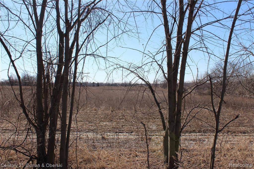 Salem Twp, MI 48168,0000 6 MILE RD
