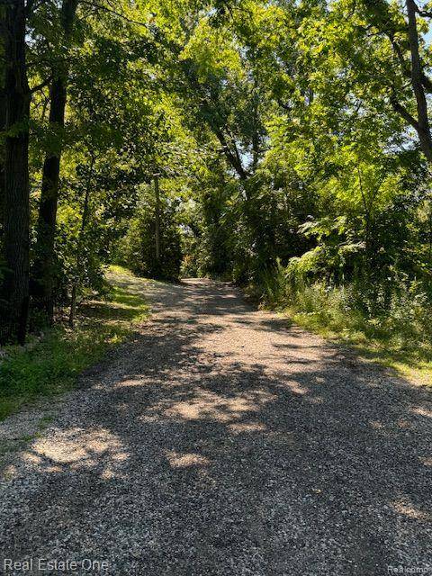 Milford Twp, MI 48380,535 OAKDALE Street