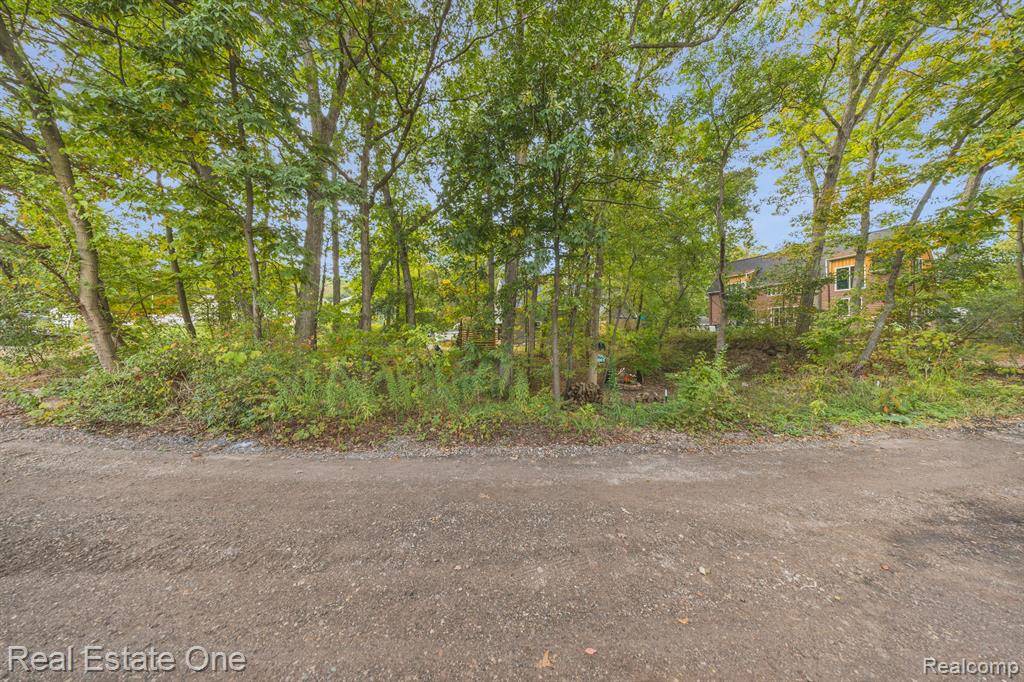 Milford Twp, MI 48380,000 CANYON Drive