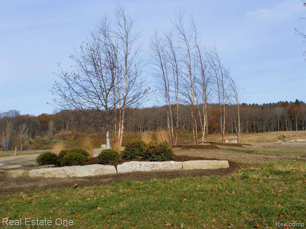 White Lake Twp, MI 48386,5  Park Ridge Road