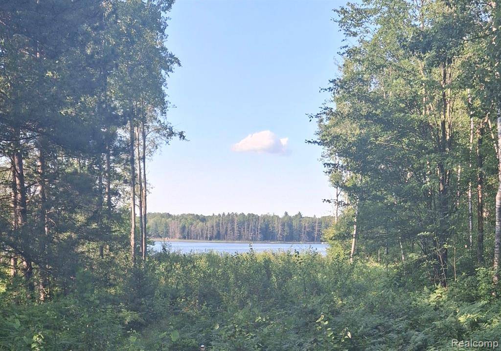Mancelona Twp, MI 49659,Lot 98 Breezewood  Drive