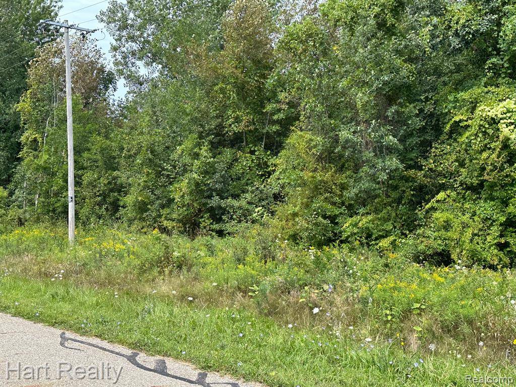 Rubicon Twp, MI 48468,00 Rubicon  Road