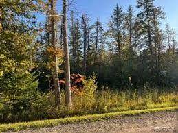 Ocqueoc Twp, MI 49759,14250 TOWN HALL(Lot A & B)