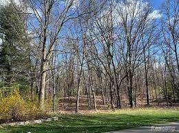 Highland Twp, MI 48357,000 Lot 71 Pine Bluffs Ct Drive