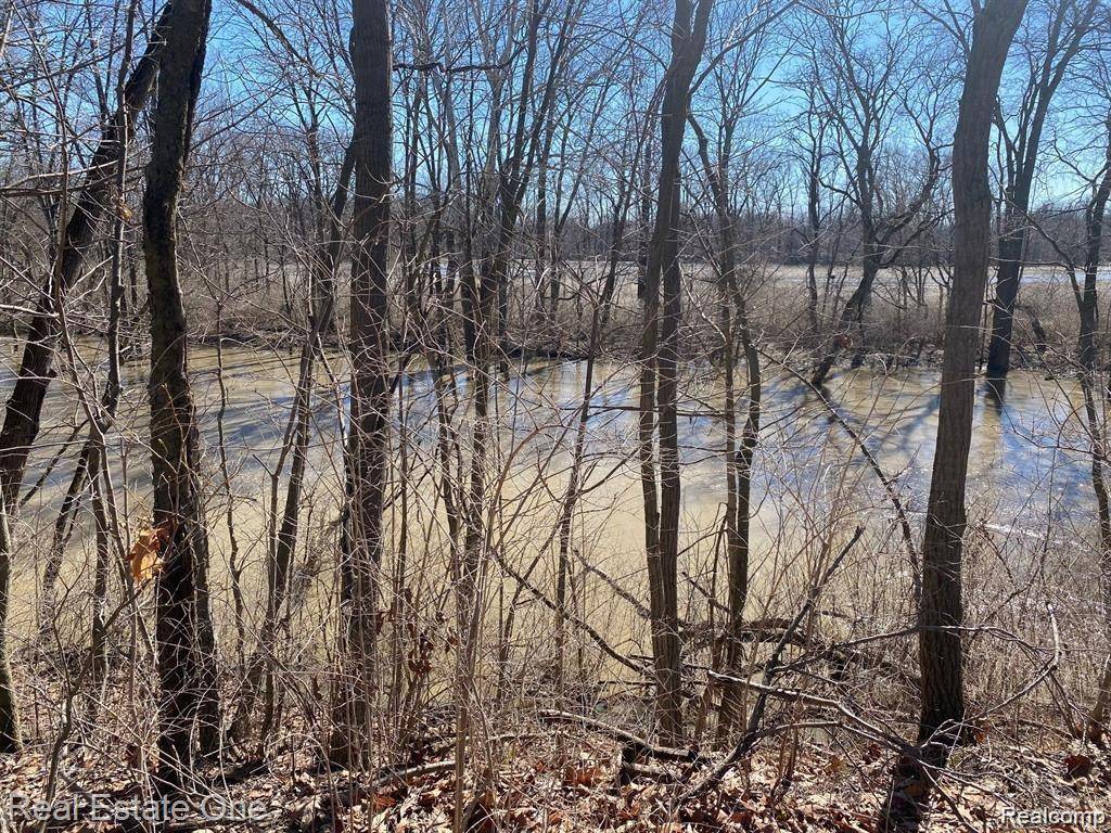 Dundee Twp, MI 48131,Vacant Stowell Road