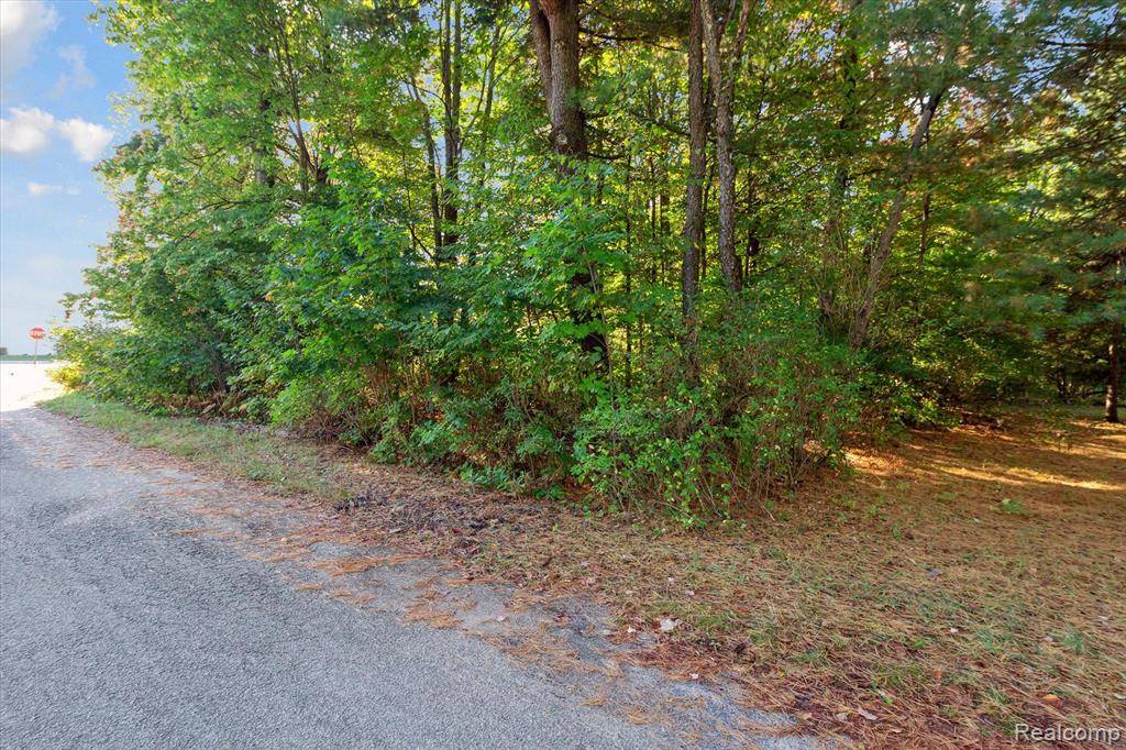 Bagley Twp, MI 49735,1043 NOIROT Street