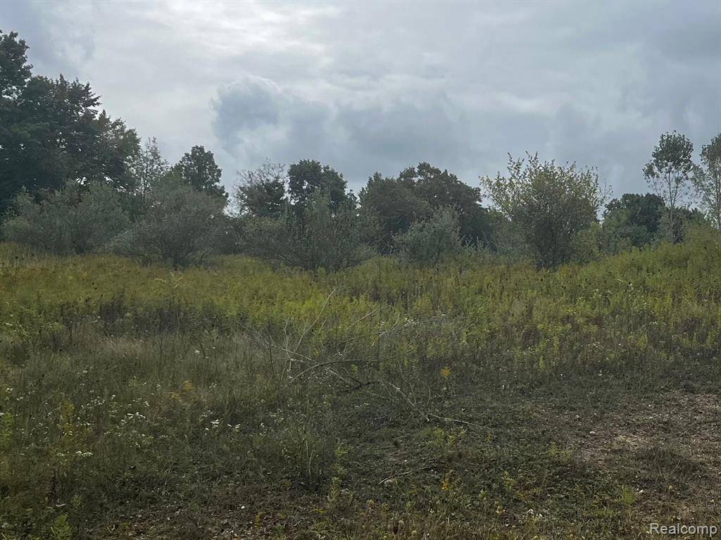 Dryden Twp, MI 48428,00 S Creek Lane