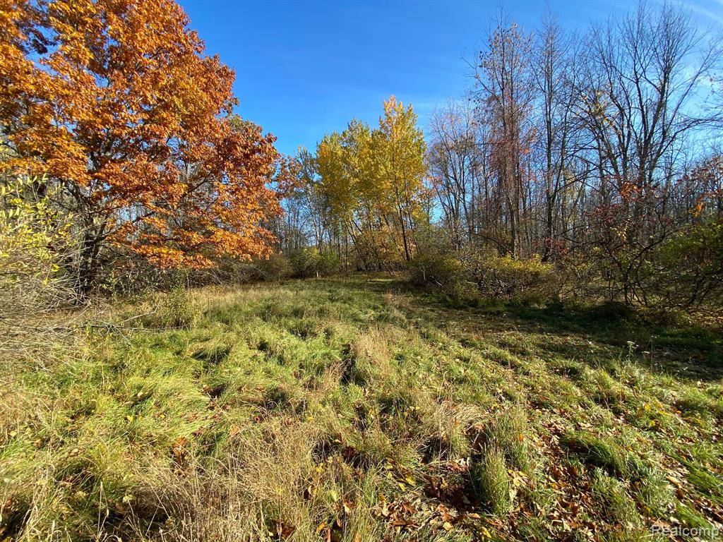 Fraser Twp, MI 48650,0000 E COGGINS Road