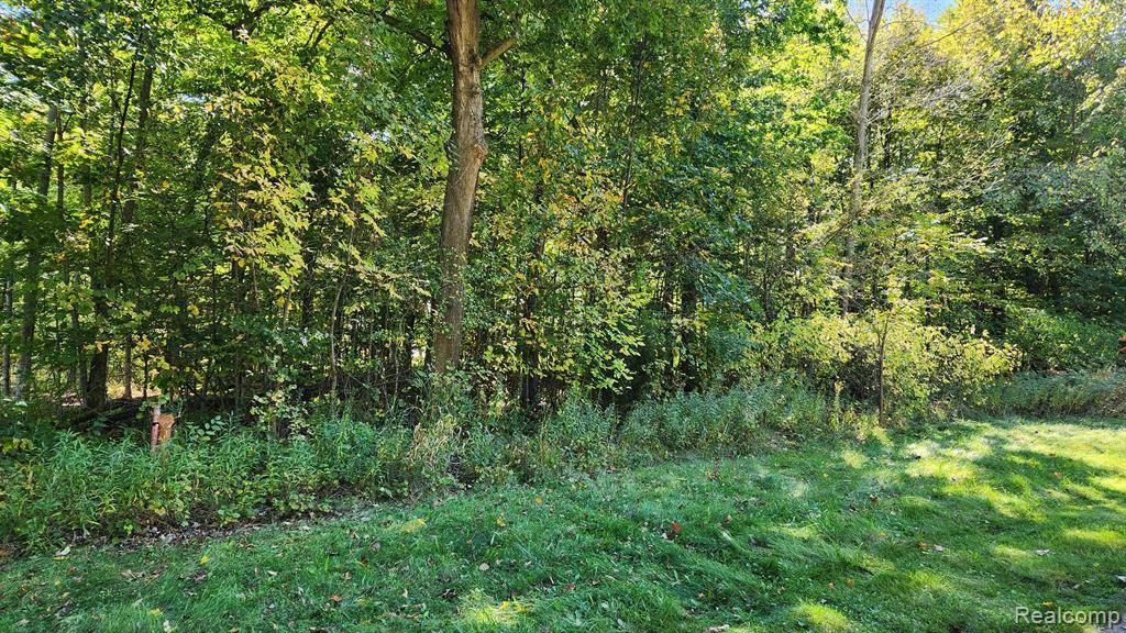 Grand Blanc Twp, MI 48439,0 FOREST GATE