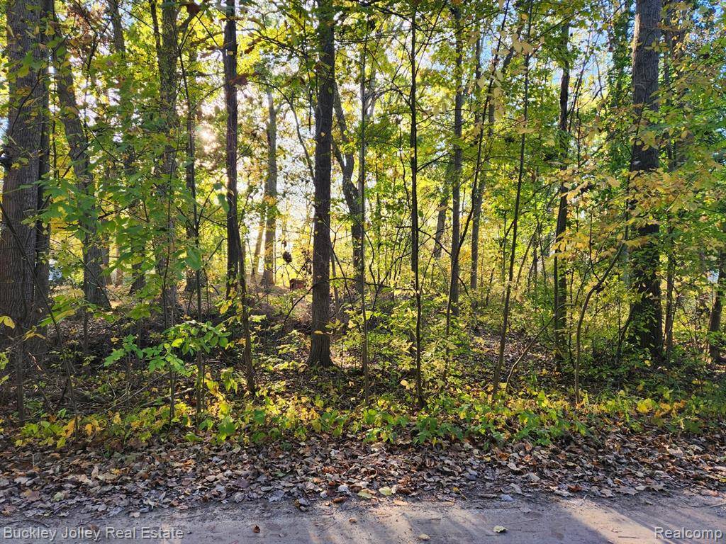 Hamburg Twp, MI 48169,0000 VAN HORN Drive