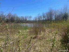 Salem Twp, MI 48178,9062 Tower  Road E