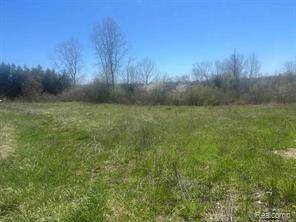 Salem Twp, MI 48178,9062 Tower Road E