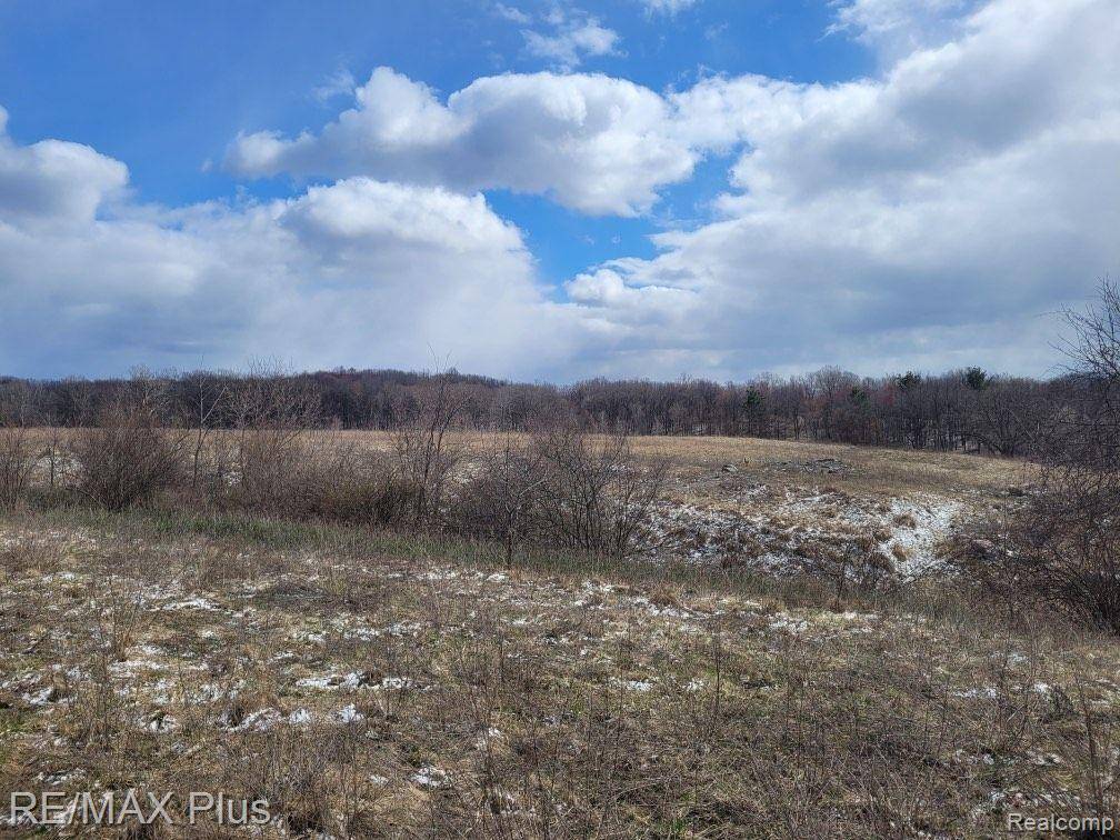 Metamora Twp, MI 48455,3400 S LAPEER Road