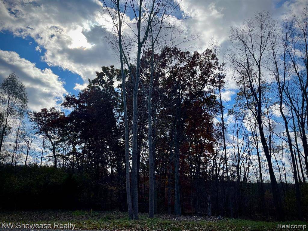 Commerce Twp, MI 48382,8-H Sleeth