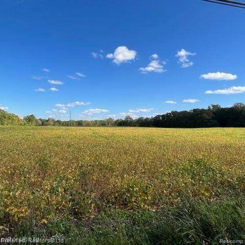 Salem Twp, MI 48178,0000 Tower Road