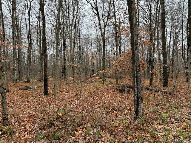 Genoa Twp, MI 48114,Parcel 1 MCCLEMENTS Road