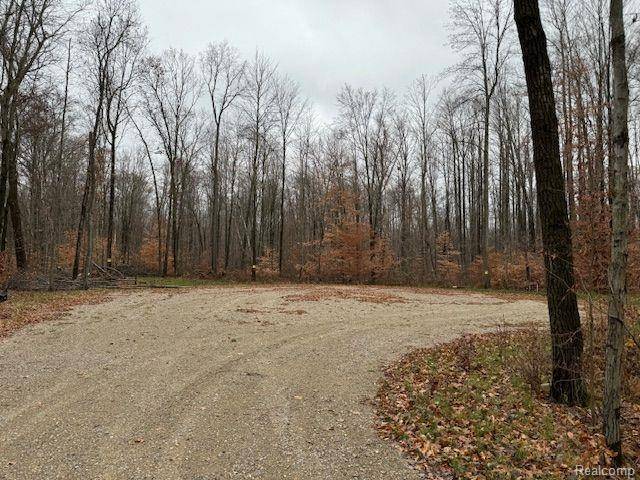 Genoa Twp, MI 48114,Parcel 1 MCCLEMENTS Road