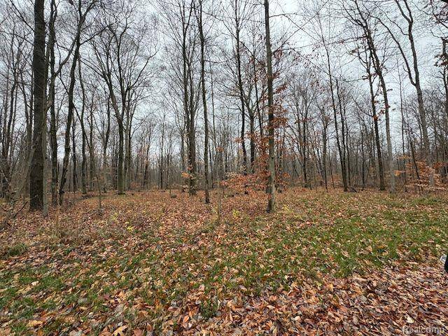 Genoa Twp, MI 48114,Parcel 2 MCCLEMENTS Road