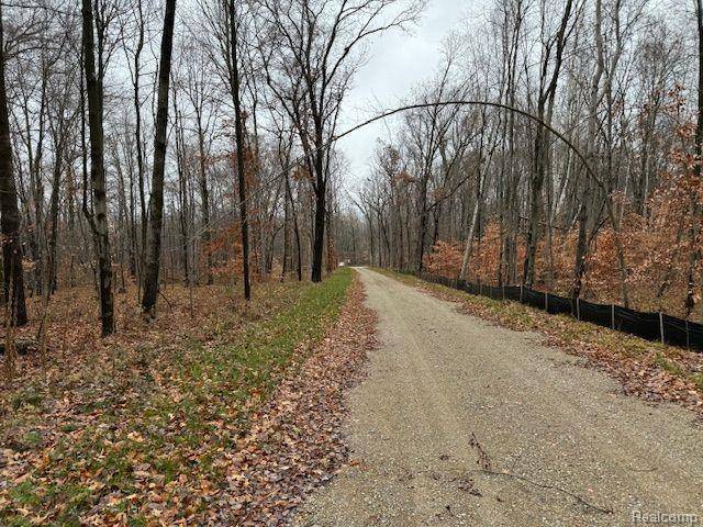 Genoa Twp, MI 48114,Parcel 2 MCCLEMENTS Road