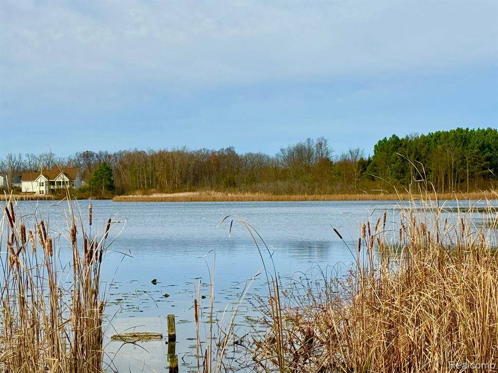 Fenton Twp, MI 48430,00 BUTCHER Road