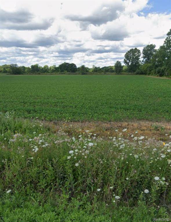 Armada Twp, MI 48005,2.0 Acres Vacant Land Coon Creek Road