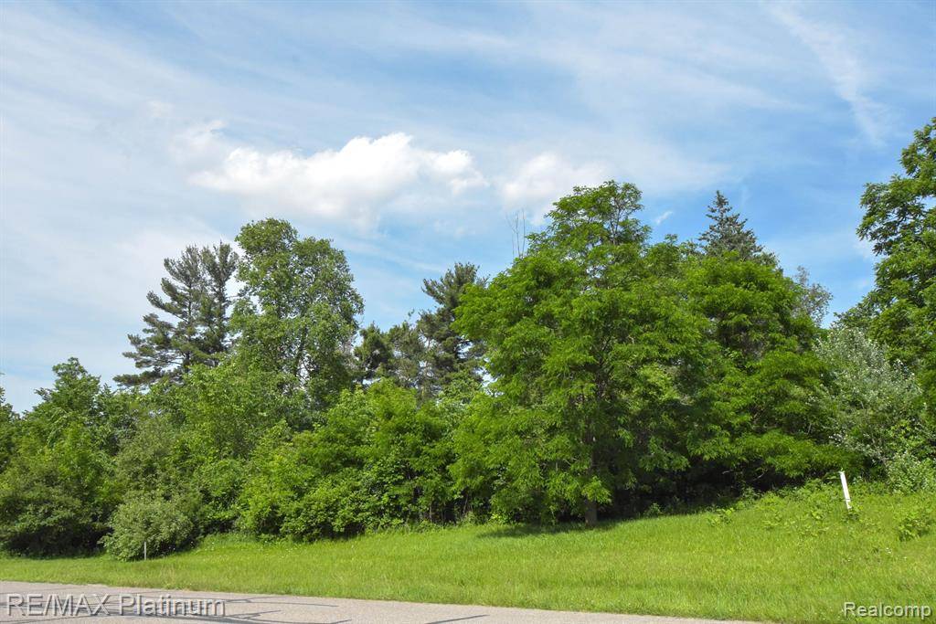 Tyrone Twp, MI 48430,35 SHANNON GLEN Drive