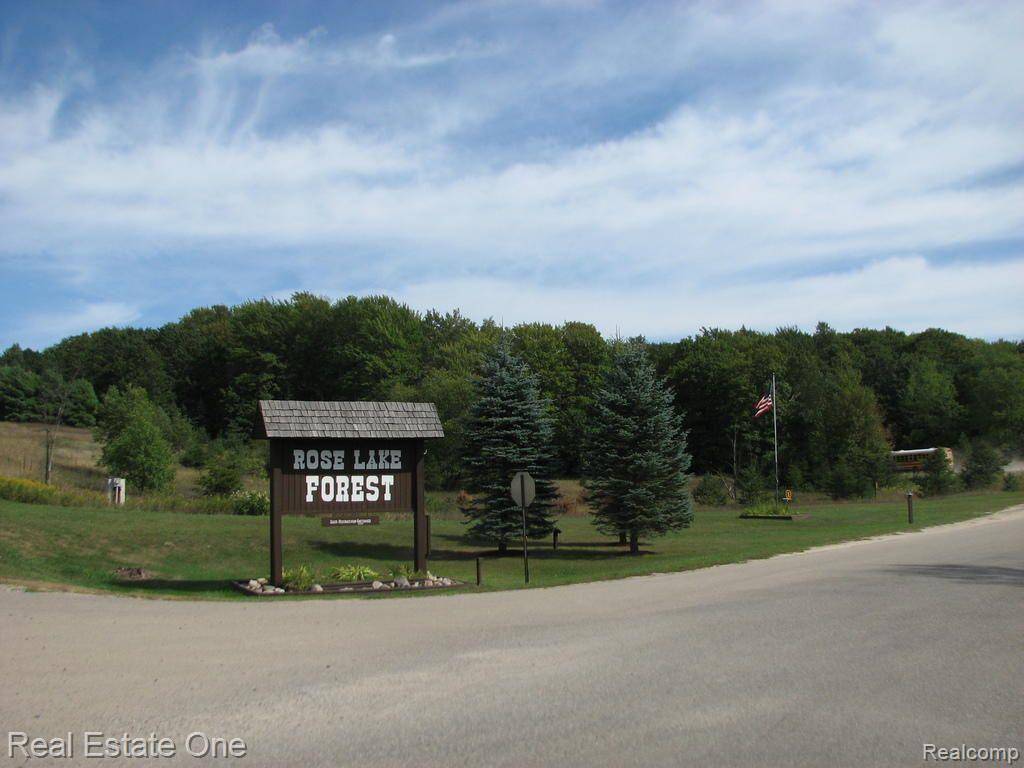 Rose Lake Twp, MI 49655,151 HILLS Circle