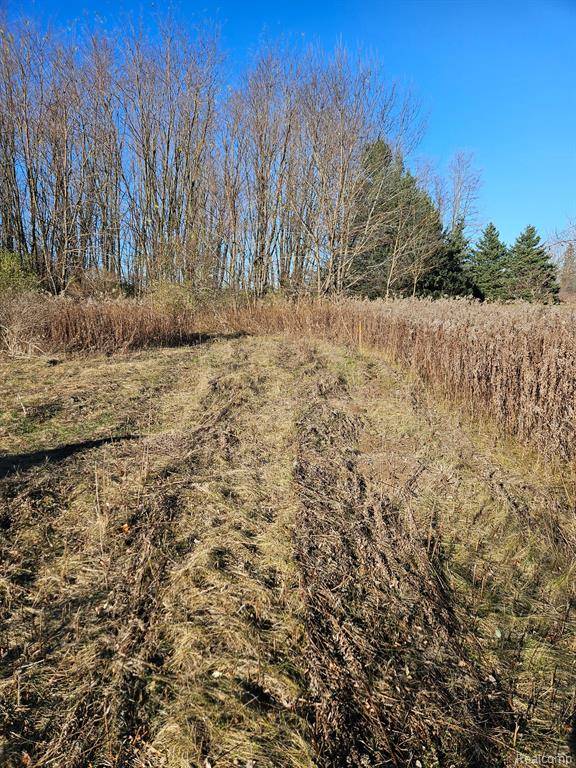 Almont Twp, MI 48003,00 Hough