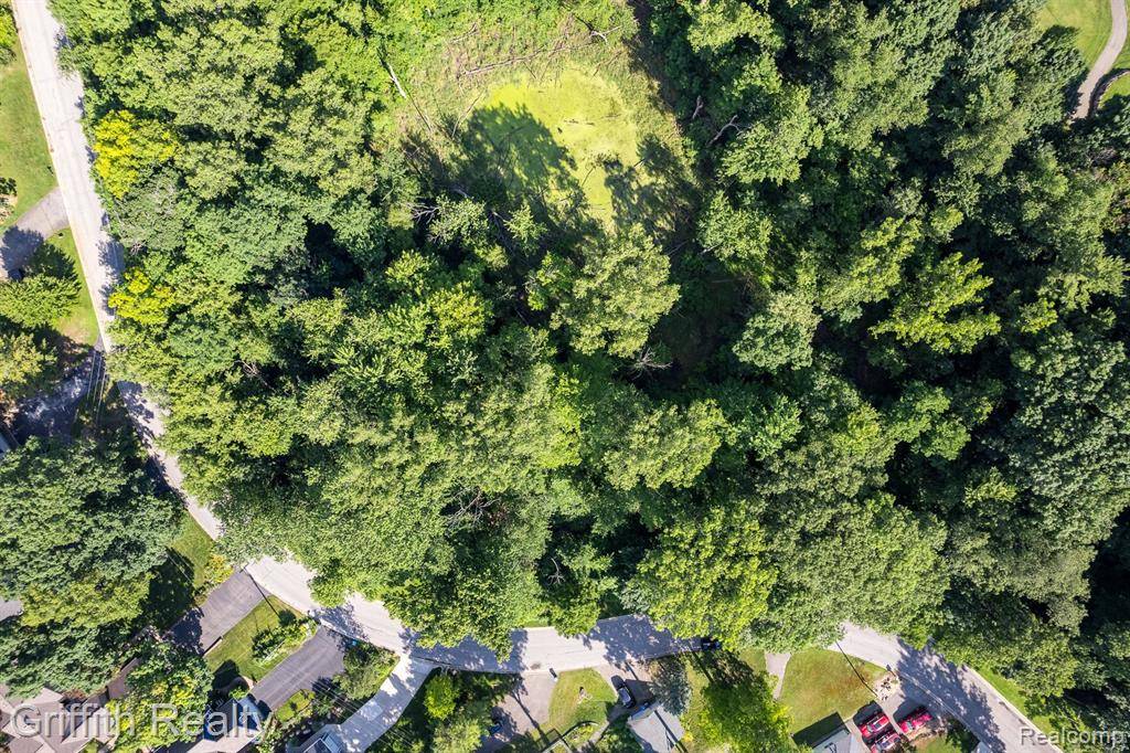 Genoa Twp, MI 48116,4510 FILBERT Drive