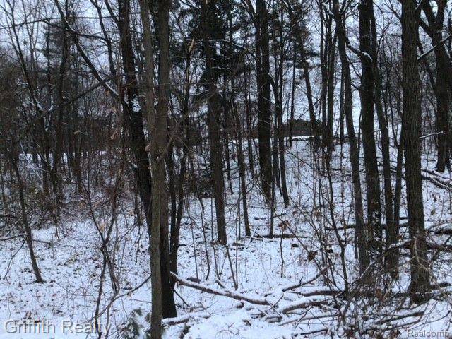 Genoa Twp, MI 48116,4510 FILBERT Drive