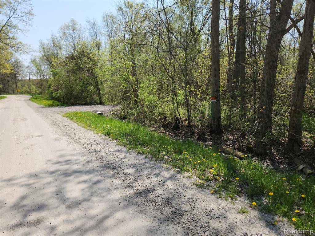 Ira Twp, MI 48023,004 Perch Road